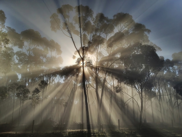Czy światło miękkie jest lepsze do fotografii niż światło twarde?